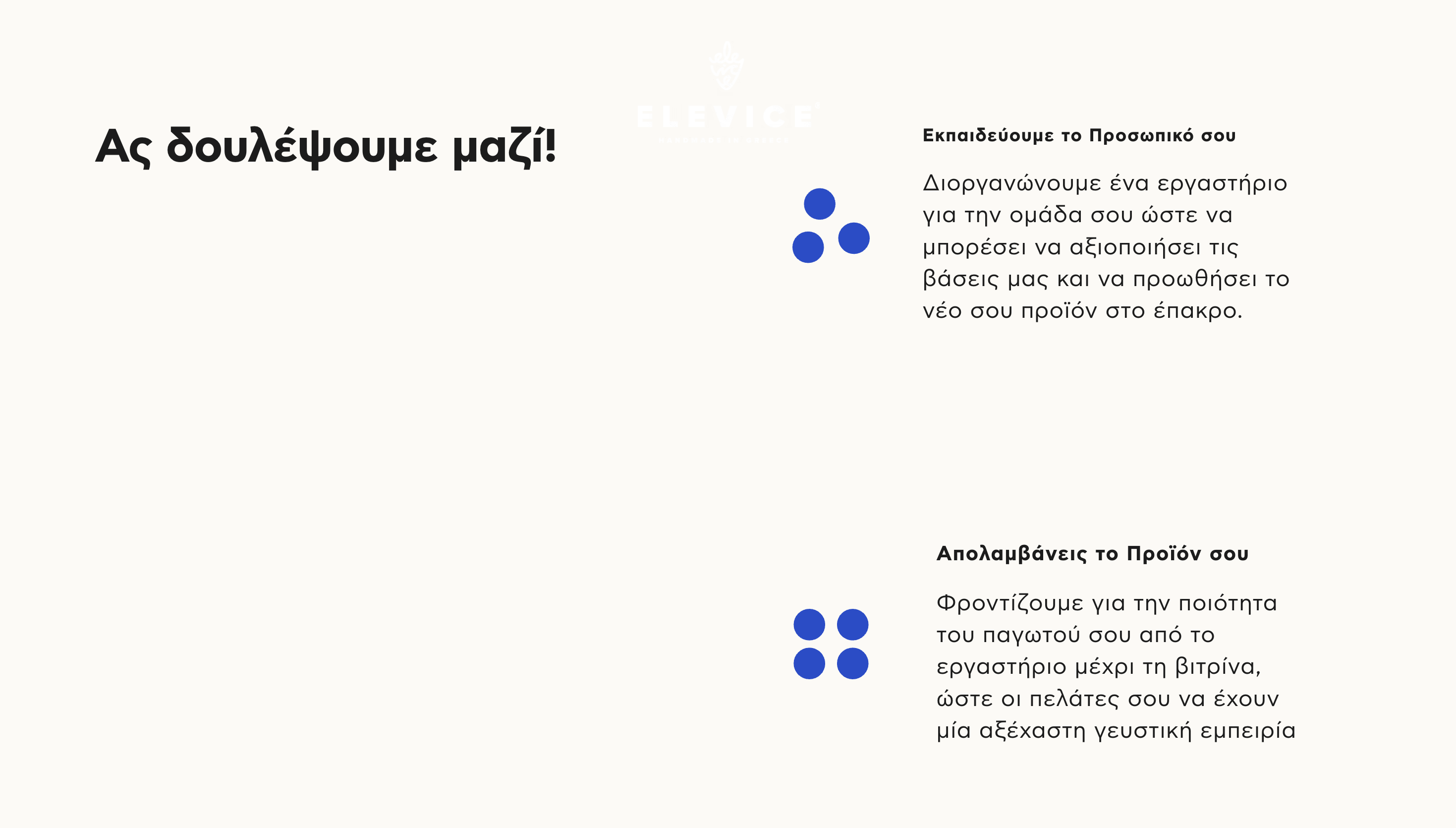 Elevice website screenshot 4